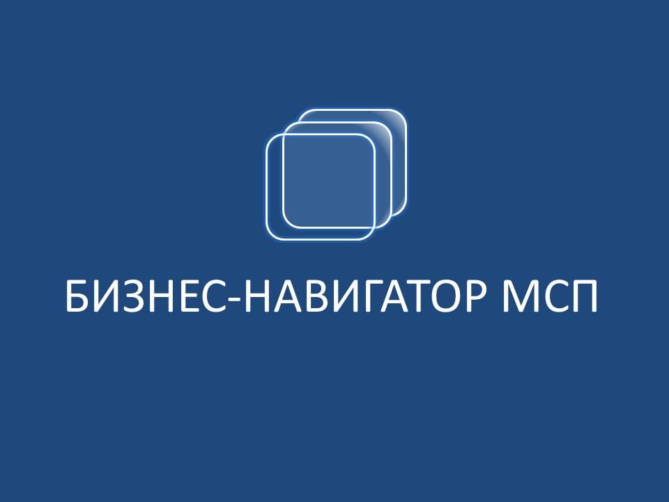 Бизнес-навигатор МСП