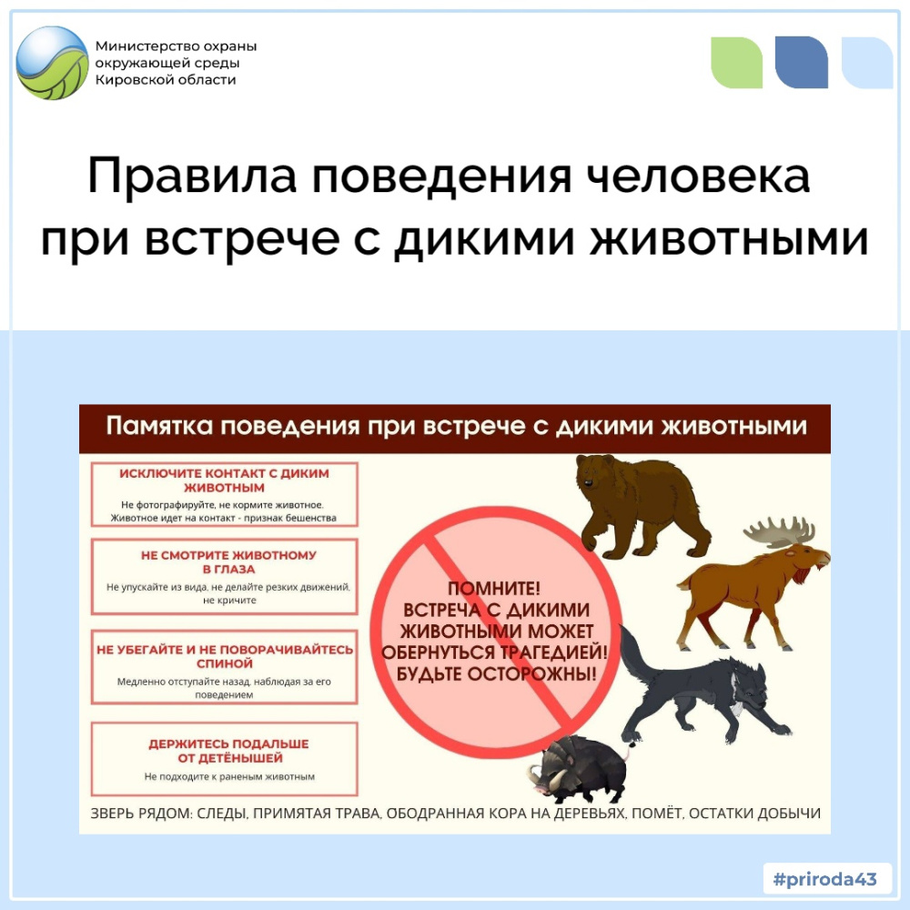 fmg7lnu6r3vz9xeushsebnfexlnruoi9.jpg