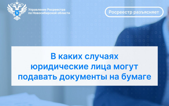 В каких случаях юридические лица могут подавать документы на бумаге