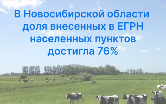 В Новосибирской области доля внесенных в ЕГРН населенных пунктов достигла 76%