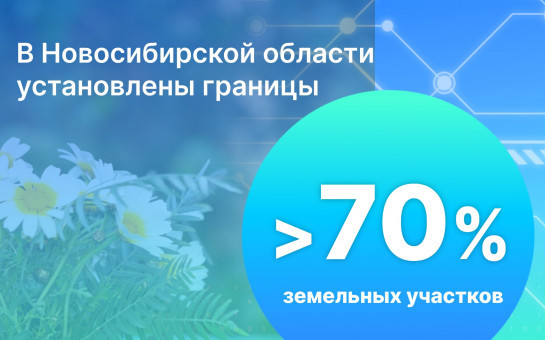 В Новосибирской области установлены границы  более 70% земельных участков